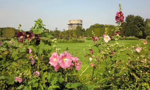 Augarten, Wien (Vienna, Austria) - Flowers and Flakturm - Photo Copyright © 2017 Anja Zechner / runinternational.eu