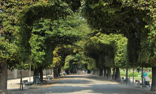 Augarten, Vienna, Austria - one of the avenues through the park (Copyright © 2017 Anja Zechner / runinternational.eu)