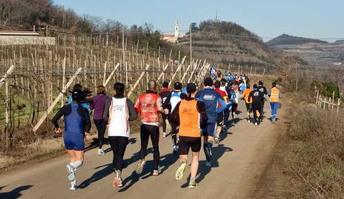 Montefortiana - Maratonina Demmy 2011 (Copyright © 2011 Hendrik Böttger / runinternational.eu)