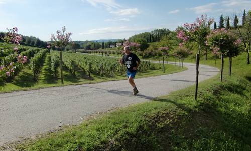 Bismarcia, Capriva del Friuli, Italy (Copyright © 2014 Hendrik Böttger / runinternational.eu)