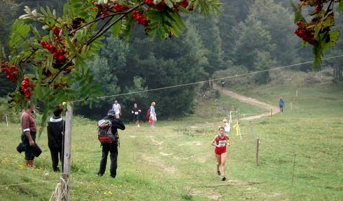 Tek na Vodiško planino - the finishing straight